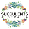 Succulents Australia 